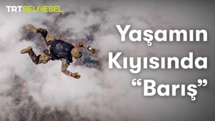 Yaşamın Kıyısında 