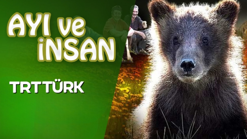 Ayı ve İnsan