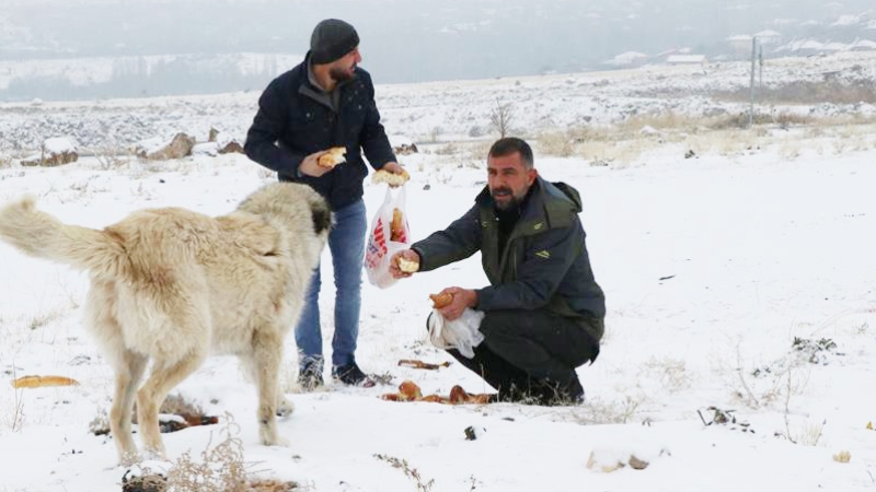 Hayvanlar için 15 yıldır doğaya yem bırakıyor