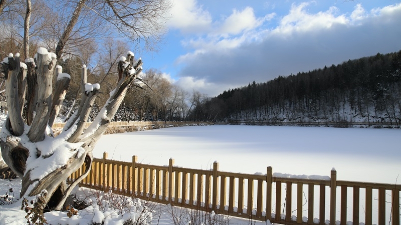 Karagöl Tabiat Parkı karla kaplandı