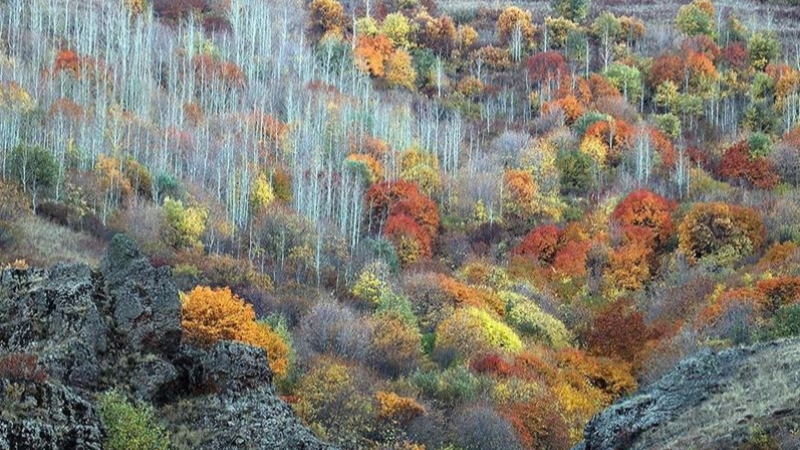 Ağrı'nın dağları sonbahar renklerine büründü