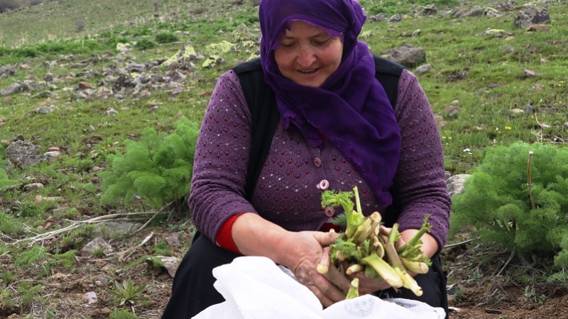 Dağlardan gelen lezzetler iftar ve sahur sofralarını süslüyor