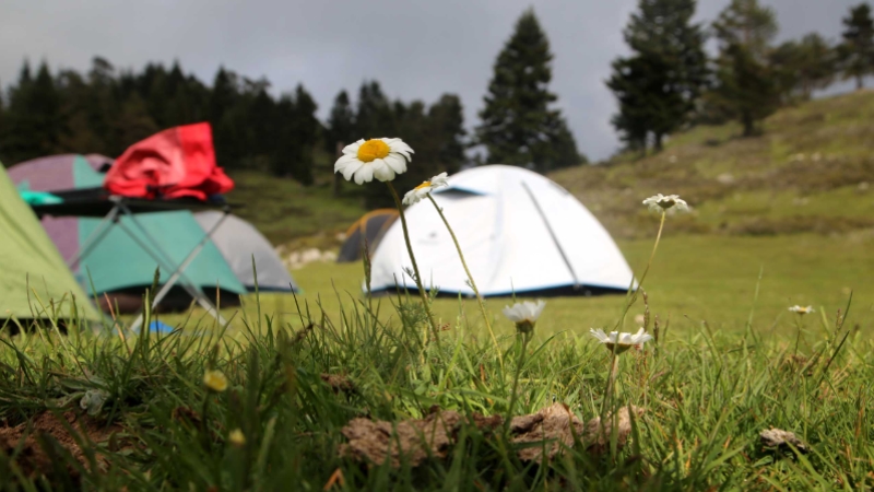  Kastamonu yaylaları gözde doğa turizmi rotaları arasına girecek