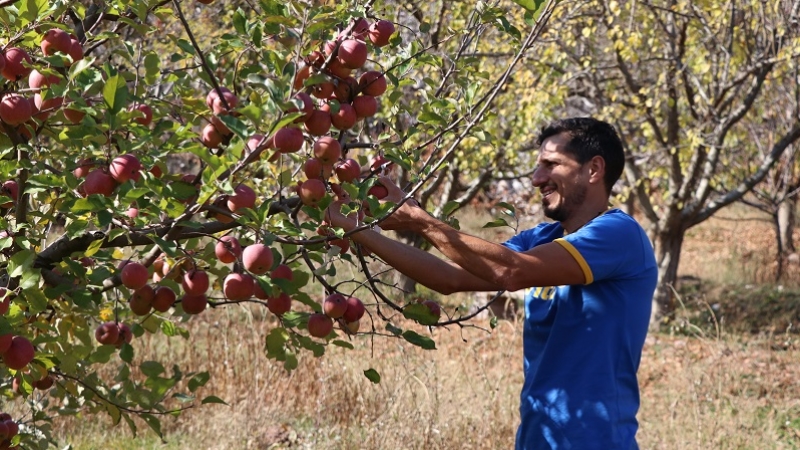 Avrupa'yı bırakıp köye yerleşti