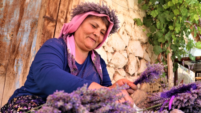 Kuyucaklı kadınların ekmek kapısı 'lavanta'