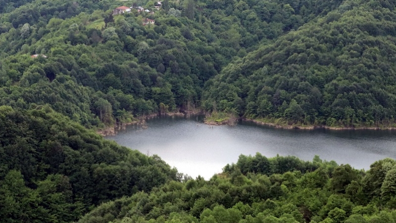 Batı Karadeniz'in 'yeşil örtüsü' doğaseverleri yeniden ağırlayacağı günü bekliyor