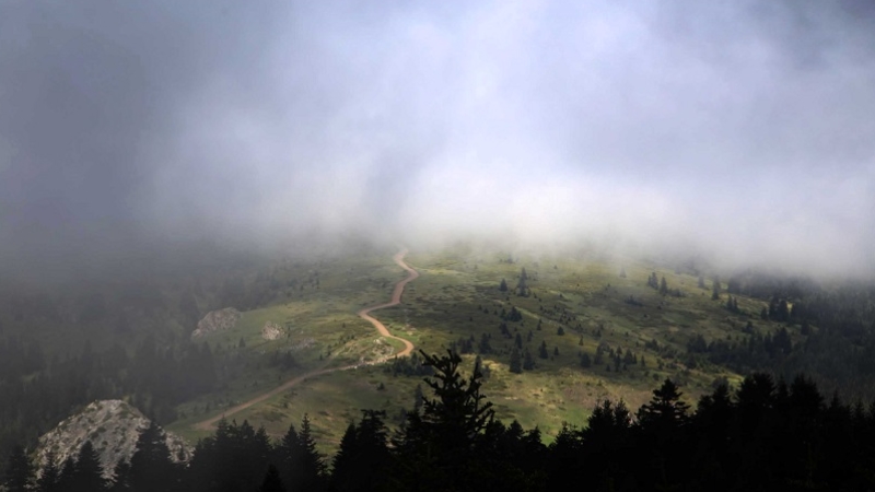 Ilgaz Dağı'nın zirvesinde oluşan sis, güzel görüntüler oluşturdu