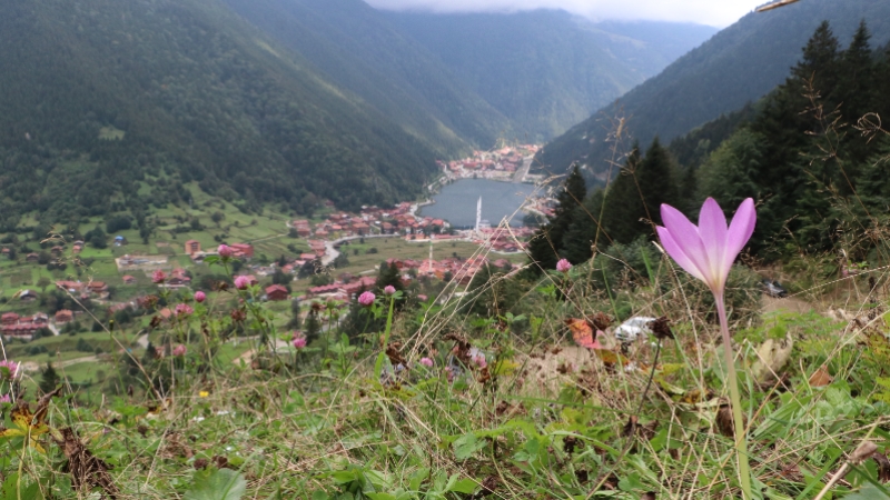 Uzungöl 