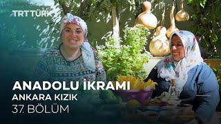 Anadolu İkramı