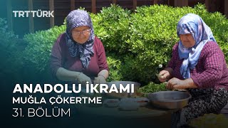 Anadolu İkramı