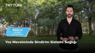 Sağlık Olsun Yaz Ekranı