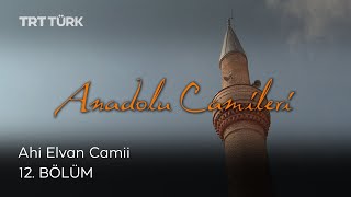 Anadolu Camileri